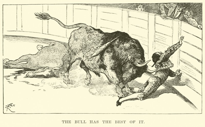Der Stier hat die Oberhand von American School