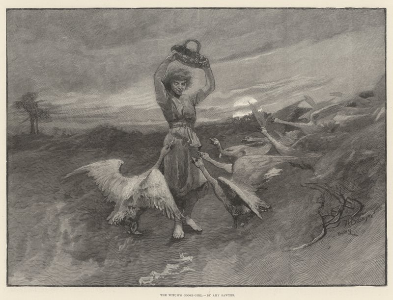 Das Gänsemädchen der Hexe von Amy Sawyer