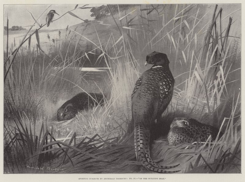 Sportliche Themen, Auf dem Außenposten von Archibald Thorburn