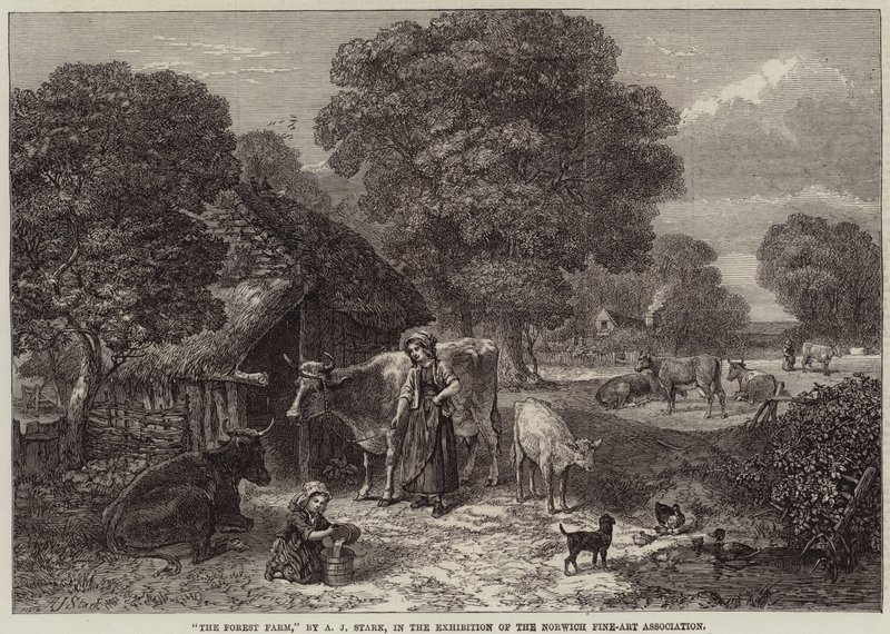 Der Waldbauernhof von Arthur J. Stark