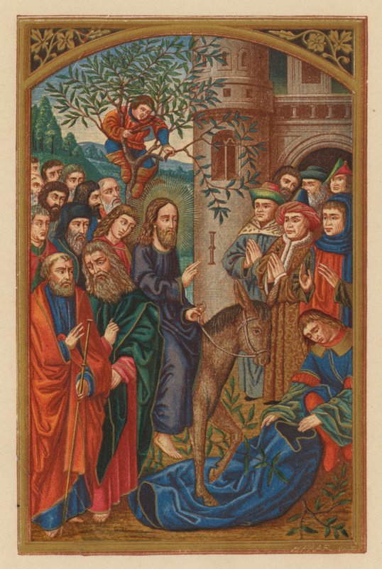 Hosanna Filio David von Austrian School