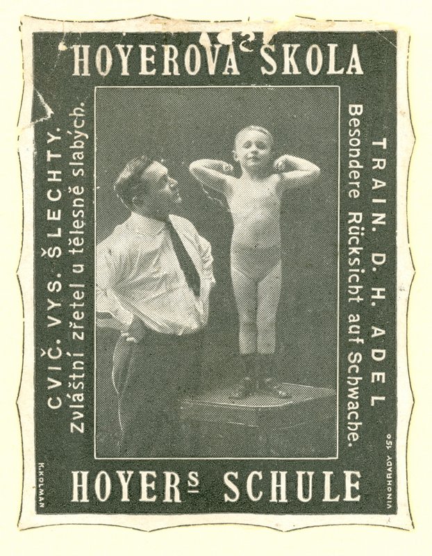 Hoyers Schule von Austrian School