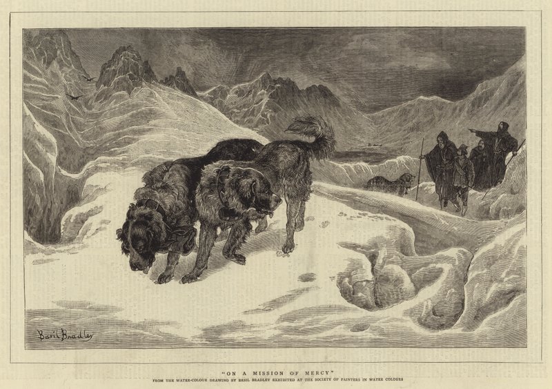 Auf einer Mission der Barmherzigkeit von Basil Bradley