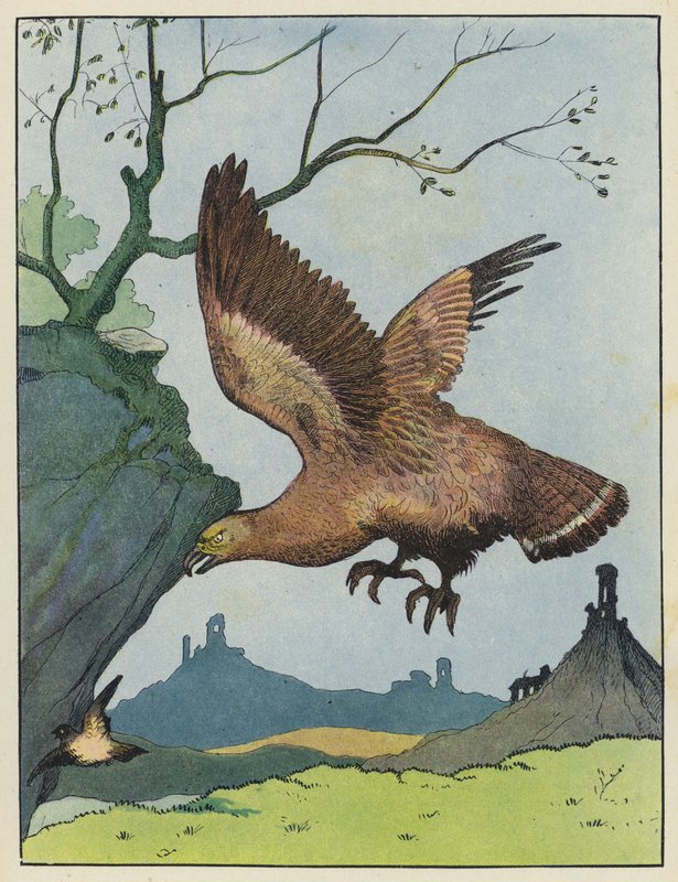 Adler jagt einen Vogel von Benjamin Rabier