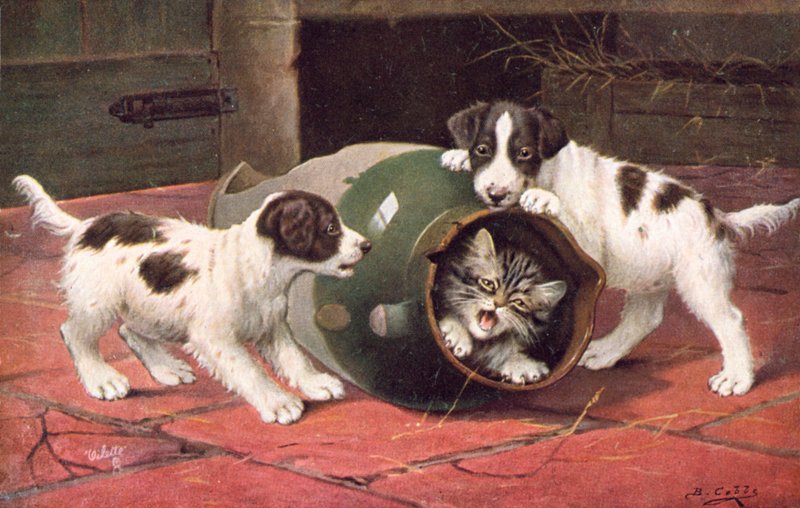 Katzenpostkarte von Bernard Cobbe