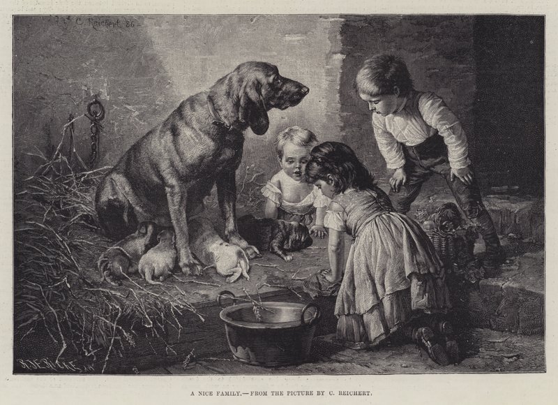 Eine nette Familie von Carl Reichert