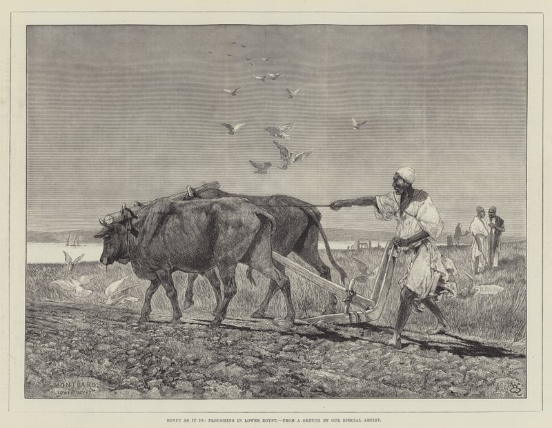 Ägypten wie es ist, Pflügen in Unterägypten von Charles Auguste Loye