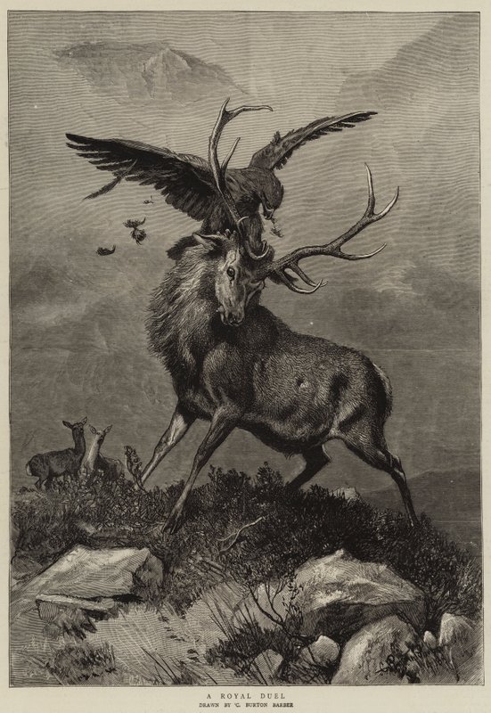 Ein königliches Duell von Charles Burton