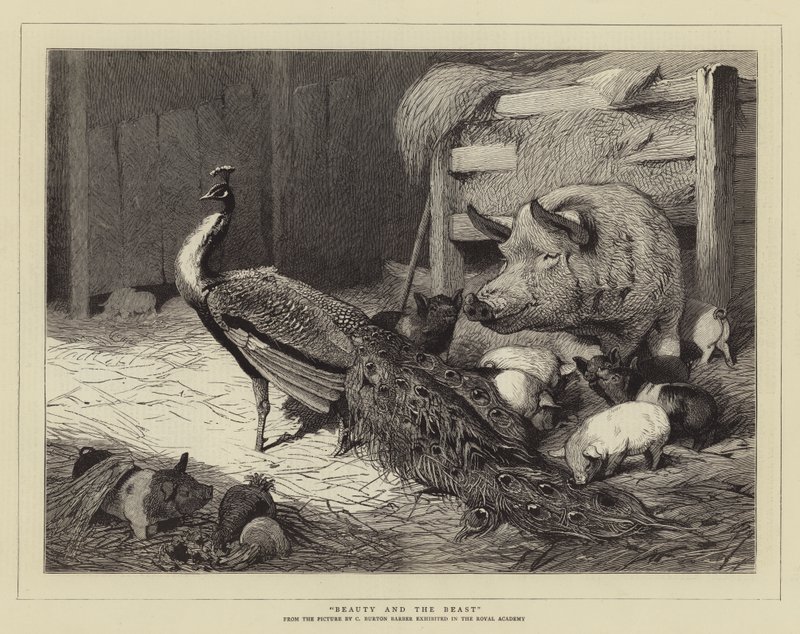 Die Schöne und das Biest von Charles Burton