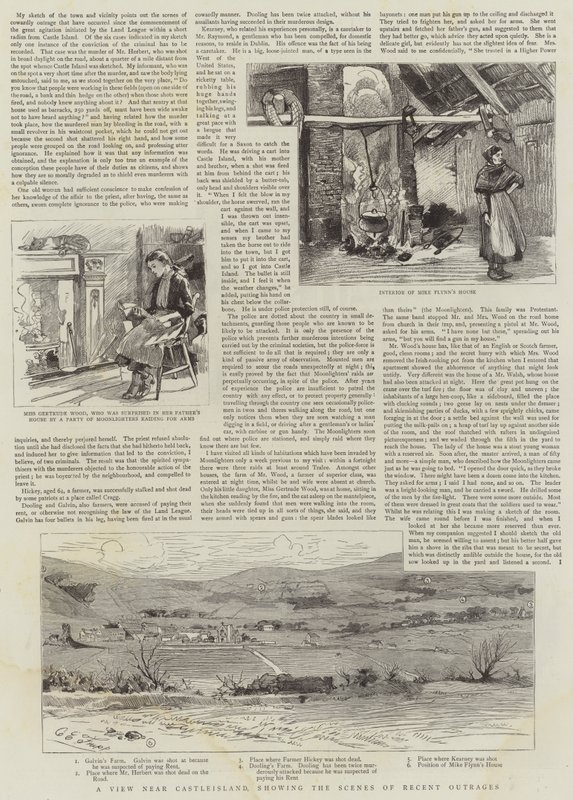Boykott in Irland von Charles Edwin Fripp