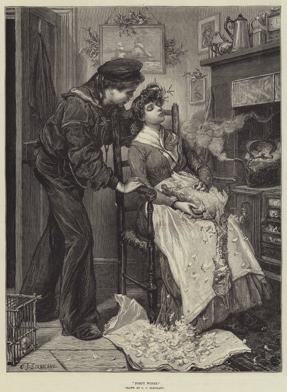 Vierzig Winks von Charles J. Staniland