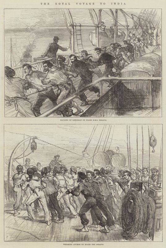 Die königliche Reise nach Indien von Sir John Charles Robinson