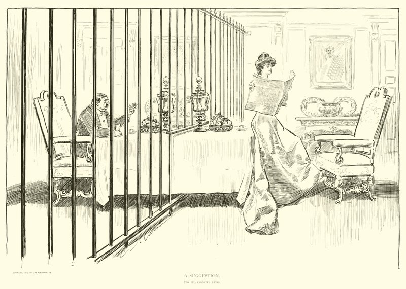 Illustration für Die Gesellschaftsleiter von Charles Dana Gibson