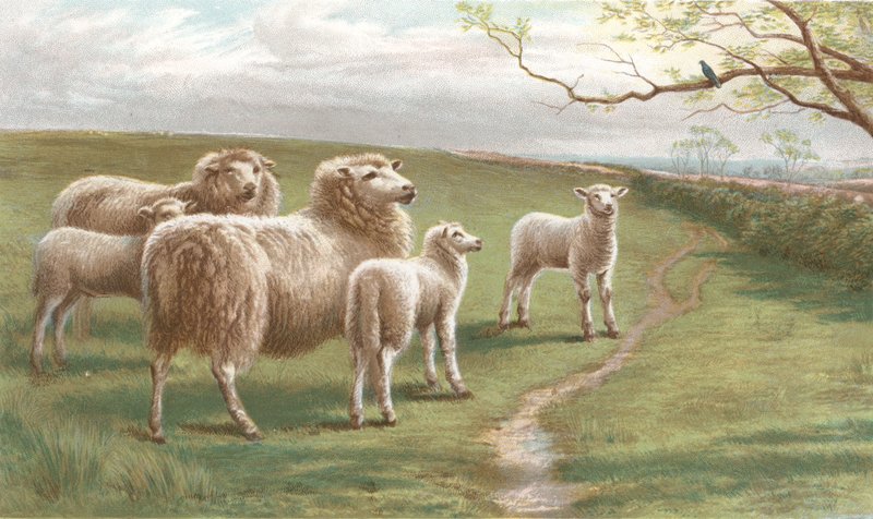 Ein Frühlingslied von Charles Jones