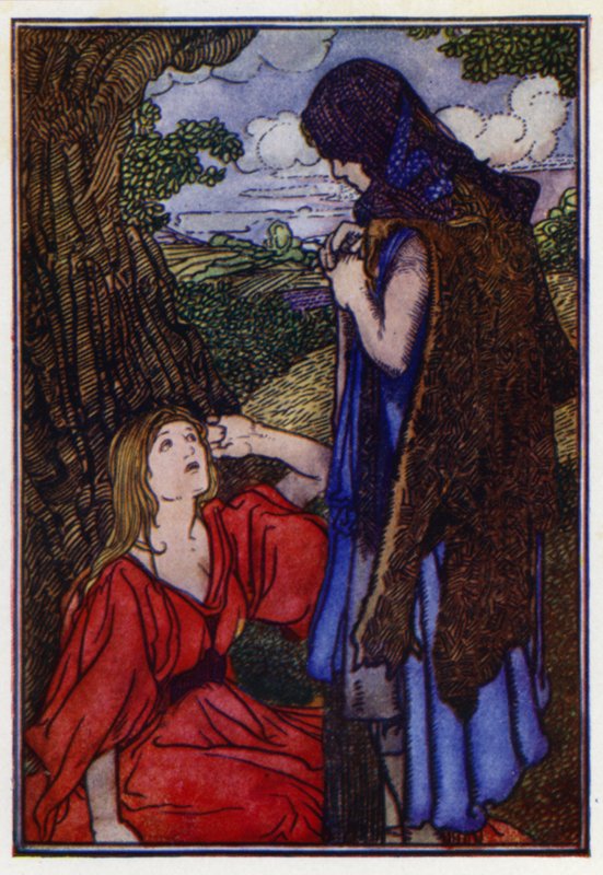 Der wohlwollende Frosch von Charles Robinson