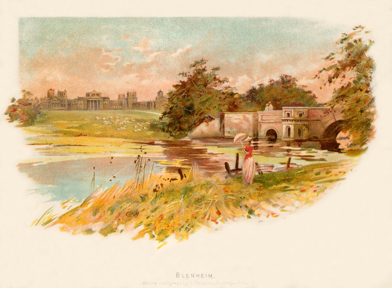 Blenheim von Charles Wilkinson