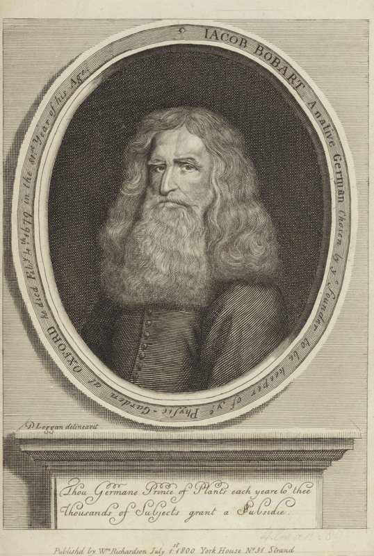 Jacob Bobart von David Loggan