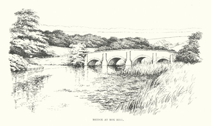 Brücke bei Box Hill von Duncan Moul