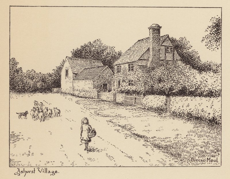 Sussex: Ashurst Village von Duncan Moul