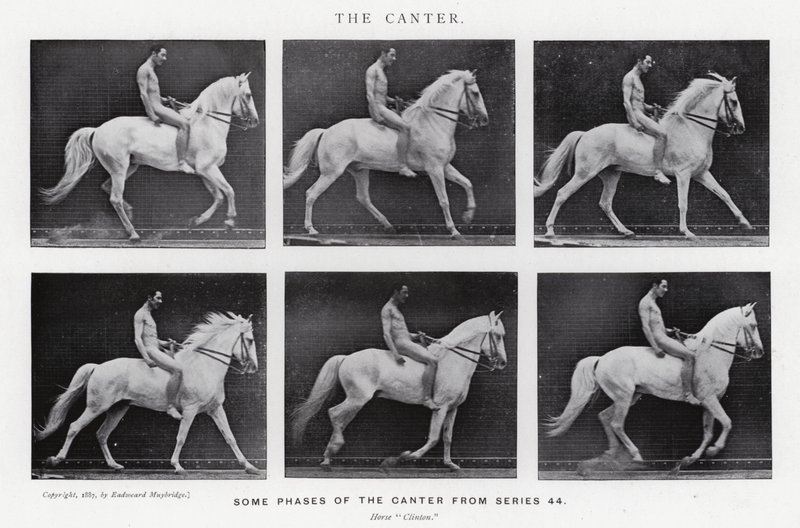 Eadweard Muybridge: Der Kanter (s/w Foto) von Eadweard Muybridge