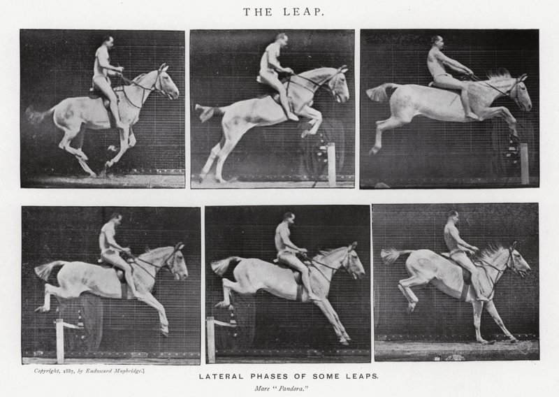 Der Sprung von Eadweard Muybridge