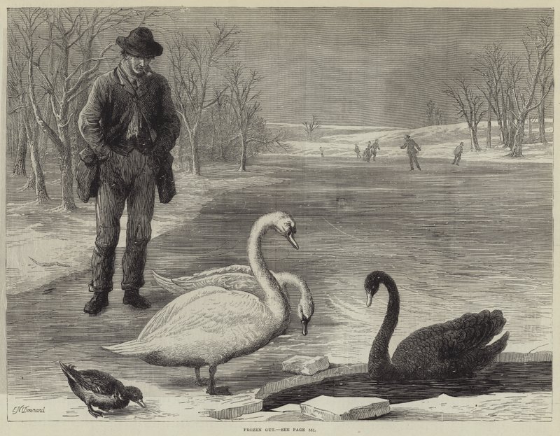 Ausgefroren von Ebenezer Newman Downard