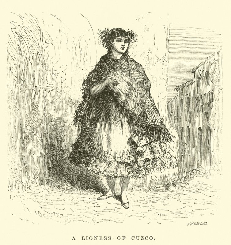 Eine Löwin von Cuzco von Edouard Riou