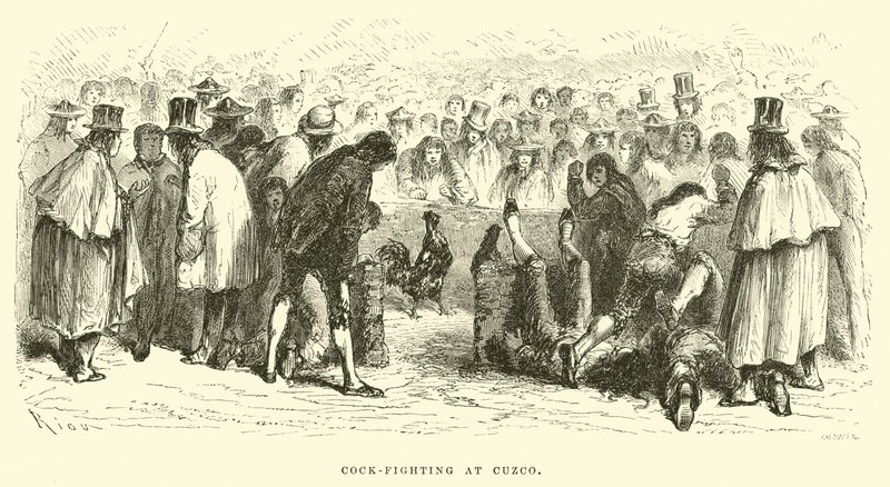 Hahnenkampf in Cuzco von Edouard Riou
