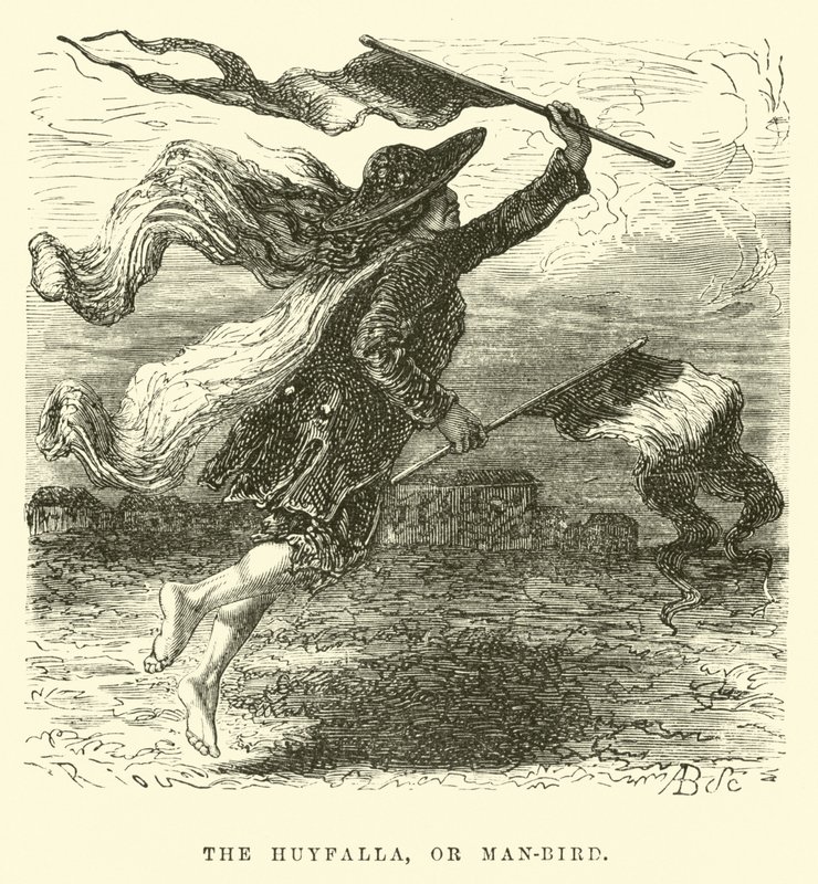 Der Huyfalla, oder Menschenvogel von Edouard Riou