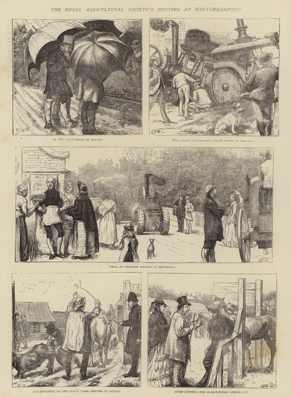 Das Treffen der Royal Agricultural Society in Wolverhampton von Edward Frederick Brewtnall