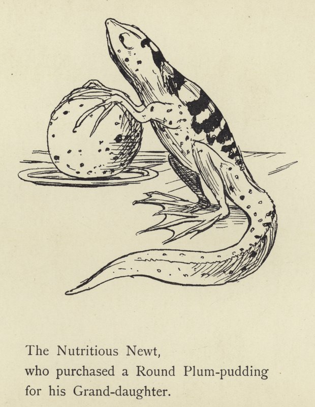 Der nahrhafte Molch von Edward Lear