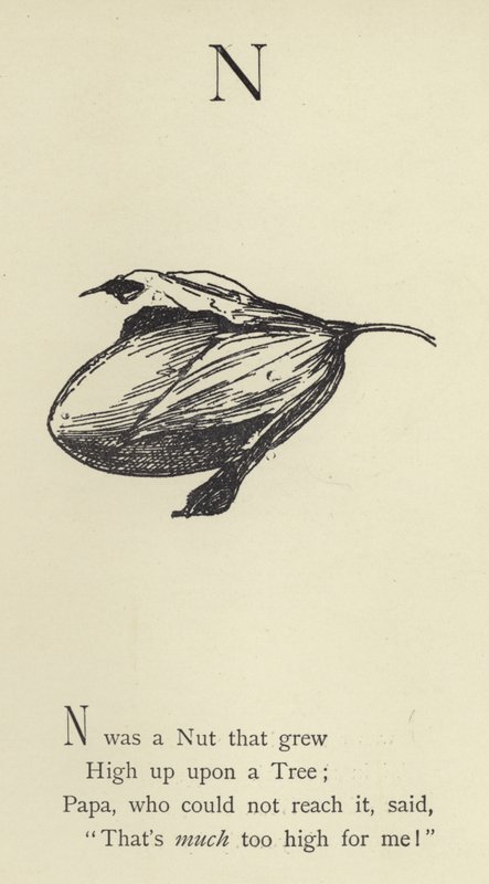 Der Buchstabe N von Edward Lear
