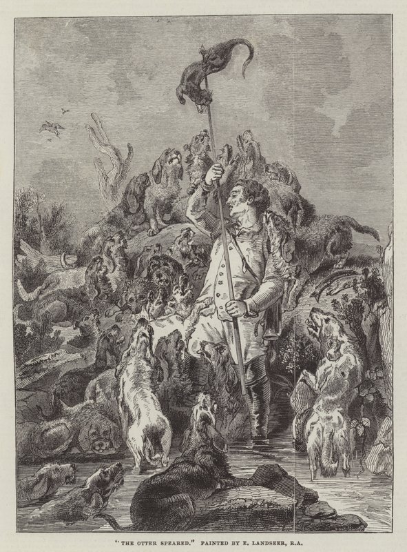 Der Otter gespießt von Edwin Landseer