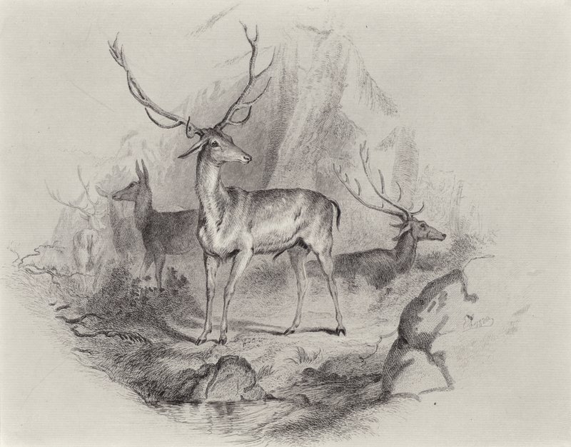 Im Tal von Edwin Landseer