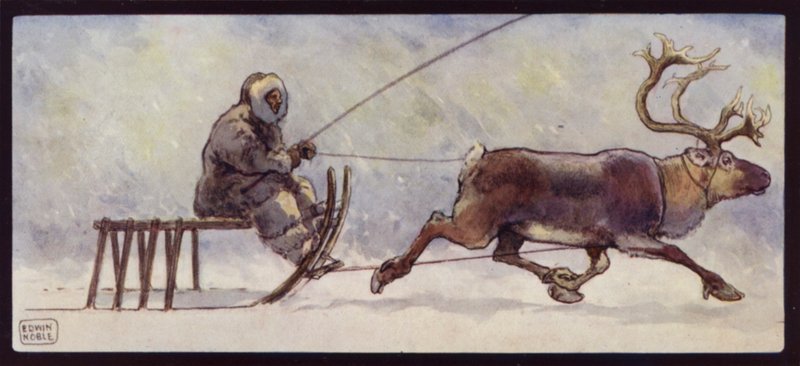 Ein Lappe und Rentierschlitten von Edwin Noble