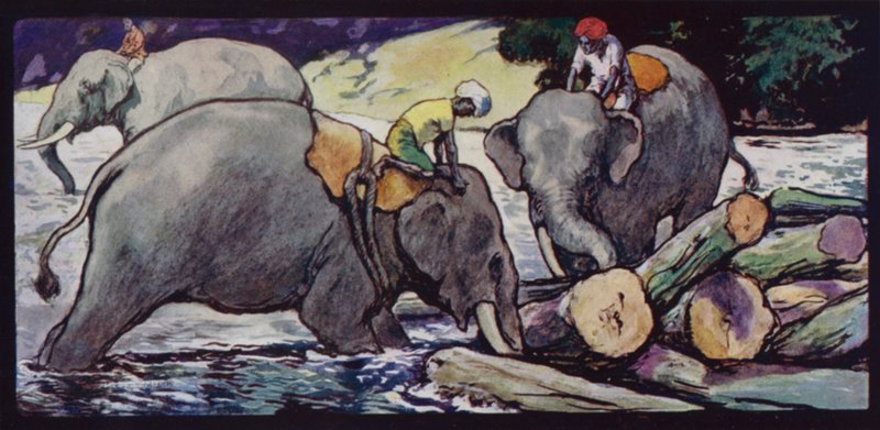 Elefanten handhaben Baumstämme im Fluss von Edwin Noble