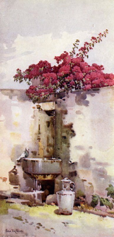 Ein Trinkbrunnen von Ella Du Cane