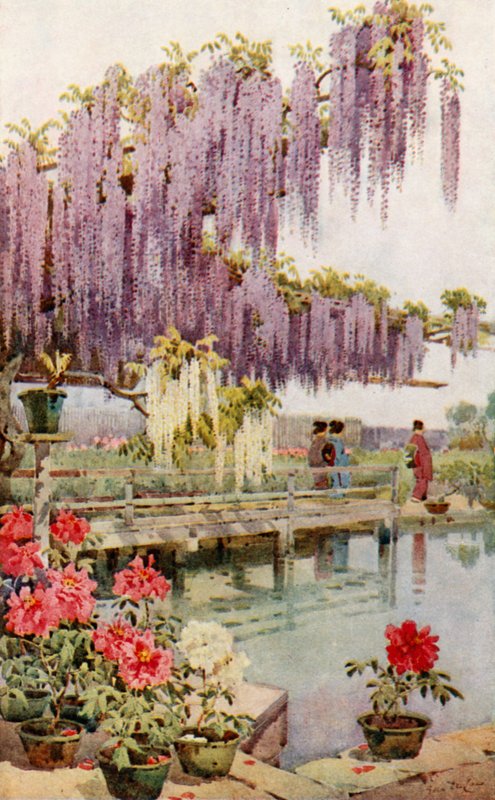 Ein Pfingstrosengarten von Ella Du Cane