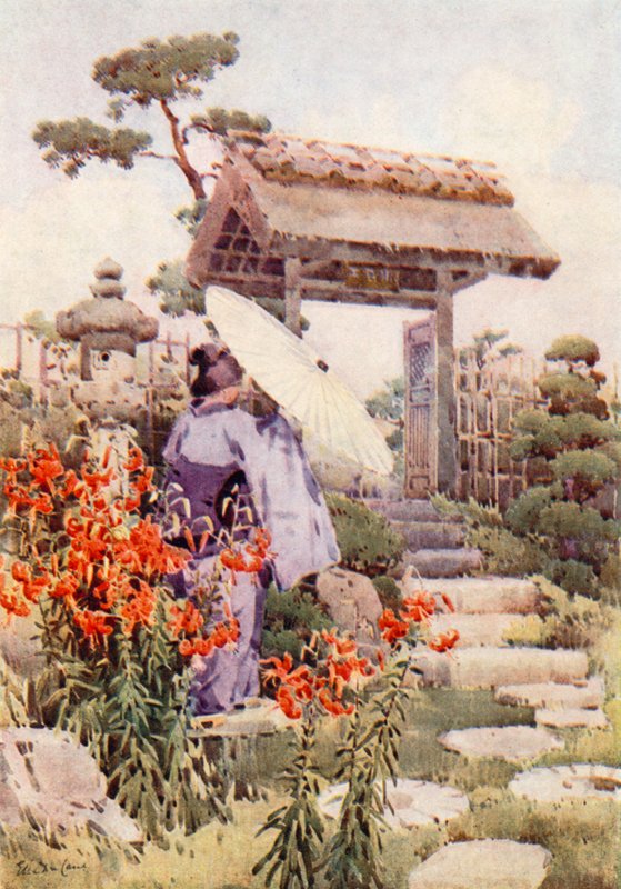 Tigerlilien von Ella Du Cane