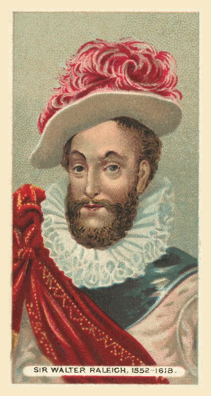 Sir Walter Raleigh, 1552-1618 von English School