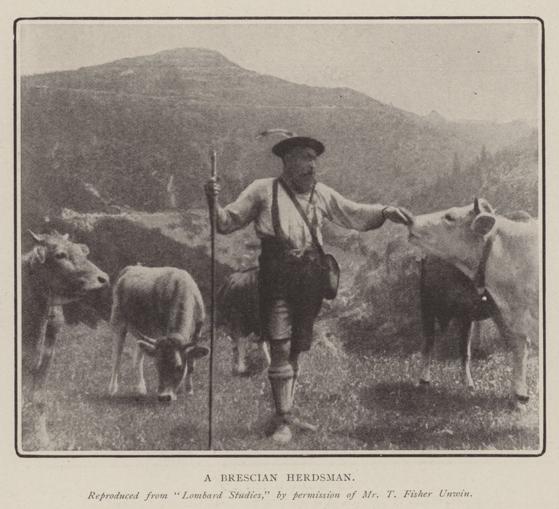 Ein Brescia-Hirte von English Photographer