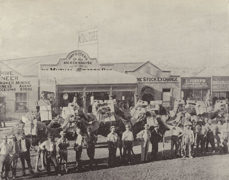 Ein Kamelzug, Coolgardie, Westaustralien von English Photographer