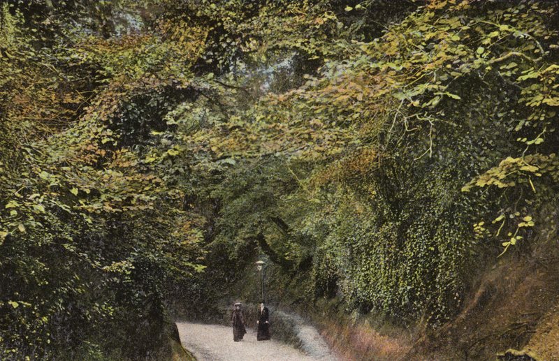 Schlucht Hohl, Shanklin von English Photographer