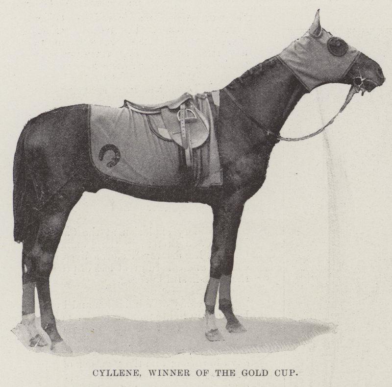 Cyllene, Gewinner des Goldpokals von English Photographer