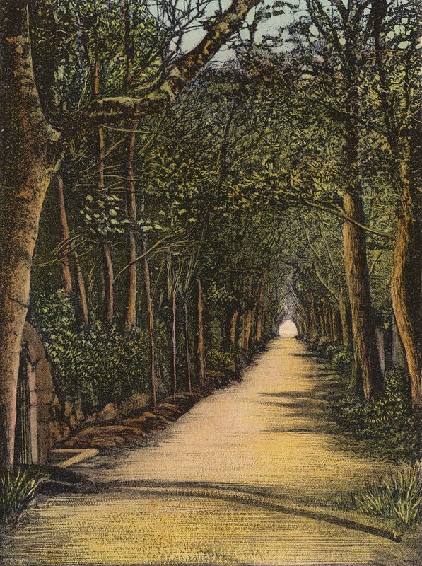 Vinchelez Lane, Jersey von English Photographer