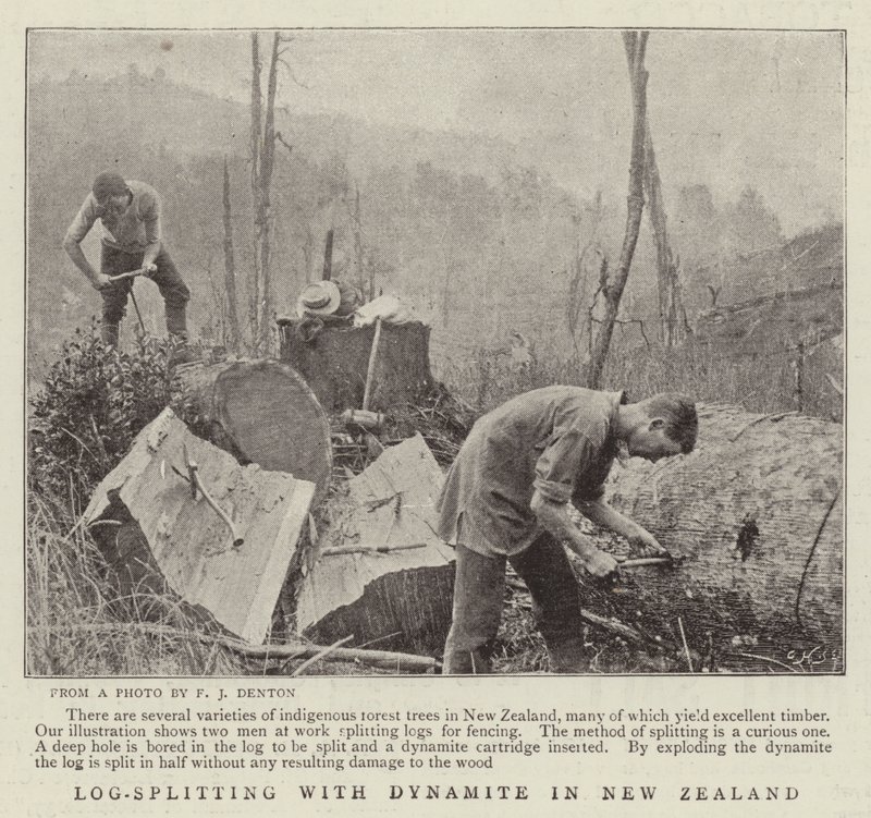 Holzspaltung mit Dynamit in Neuseeland von English Photographer