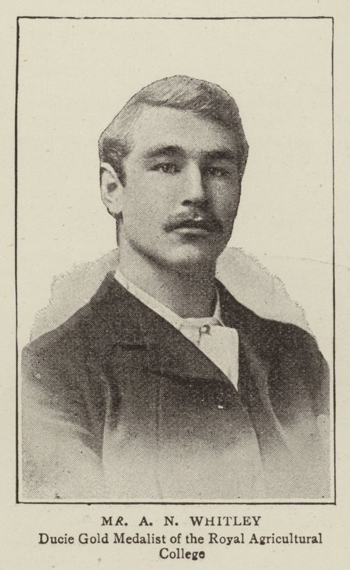 Herr A N Whitley von English Photographer