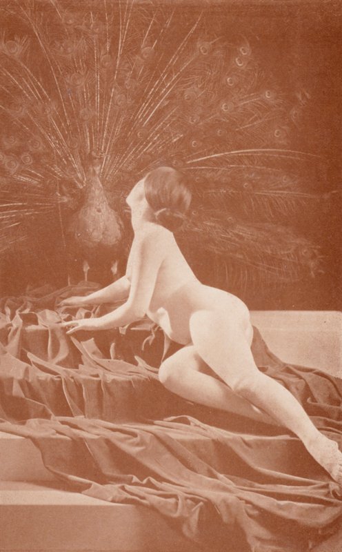 Nudistische Kunst: Neid von English Photographer