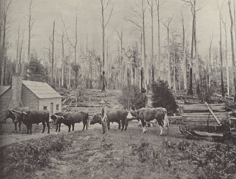 Holzschlitten in Lebrina, Tasmanien von English Photographer