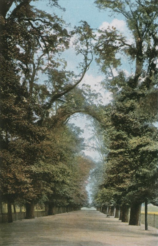 Der Broad Walk von English Photographer